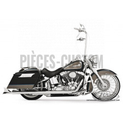 Échappement-Performance-Sharktail-36"