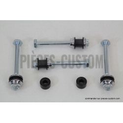Kit-visserie-de-sissy-bar-amovible