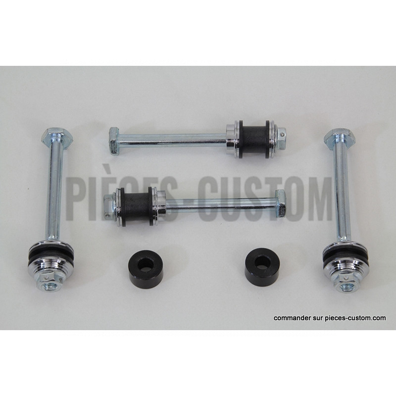 Kit-visserie-de-sissy-bar-amovible