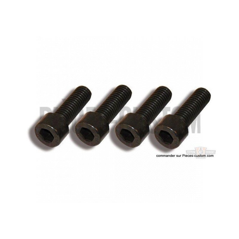 kit-visserie-noire-tés-de-fourche-v-rod-night-rod