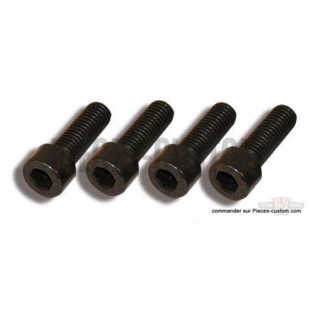 kit-visserie-noire-tés-de-fourche-v-rod-night-rod