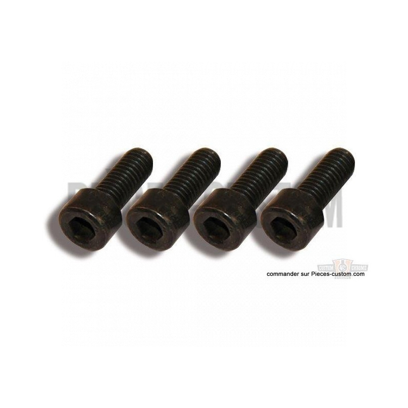 Set-de-Vis-noires-pour-Garde-boue