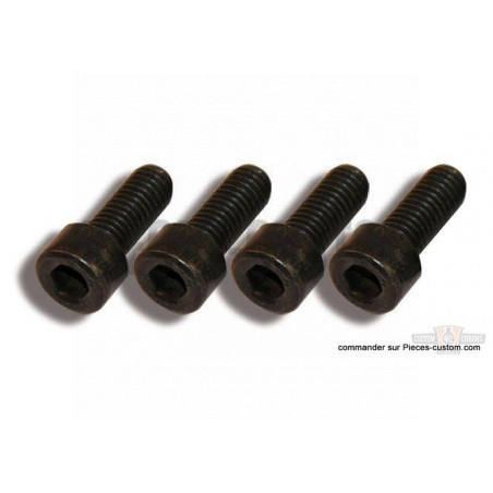 Set-de-Vis-noires-pour-Garde-boue