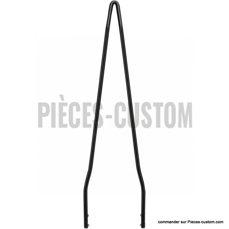 Sissy-bar-Attitude
