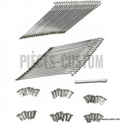 Jeu de 40 rayons Chrome pour jante de 19"