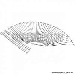 Jeu de 40 rayons Chrome pour jante de 21"