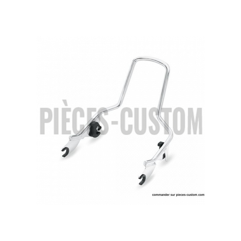 Montant-de-sissy-bar-détachable