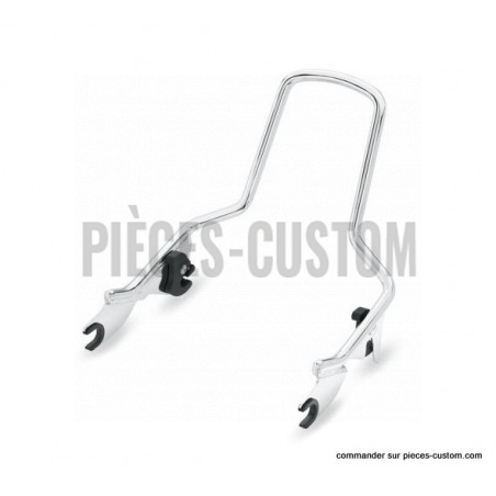 Montant-de-sissy-bar-détachable