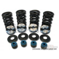 Arrêtoirs titane pour kit  .600" pour Twin Cam Big Twin et Sportster XL