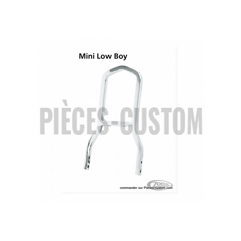 Sissy-bar-Mini-Low-Boy