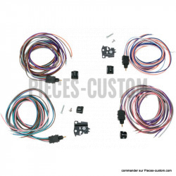 Bouton-Radio-et-Cruise-control-Noir