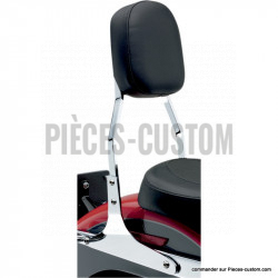 Sissy-Bar-Carré
