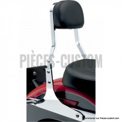 Sissy-Bar-Carré