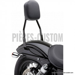 Sissy-Bar-Carré