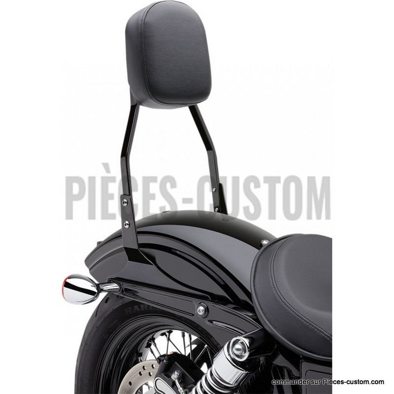 Sissy-Bar-Carré