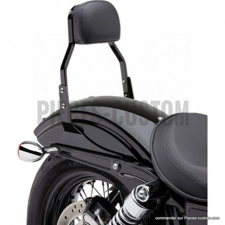 Sissy-Bar-Carré