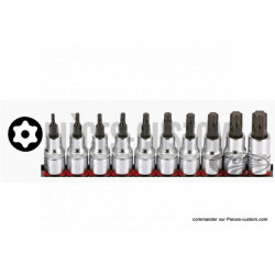 10 embouts Torx carré de 3/8"