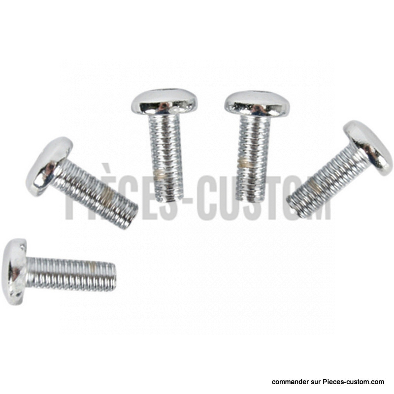 kit-visserie-disque-frein-arrière-big-twin