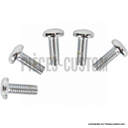 kit-visserie-disque-frein-arrière-big-twin
