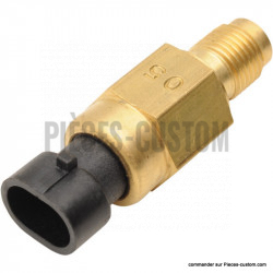 Sonde-de-température-moteur