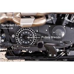 Cache-poulie-30-dents-Drilled-par-Rick's