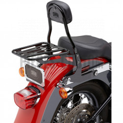 Sissy-Bar-détachable-avec-porte-bagage