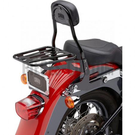 Sissy-Bar-détachable-avec-porte-bagage