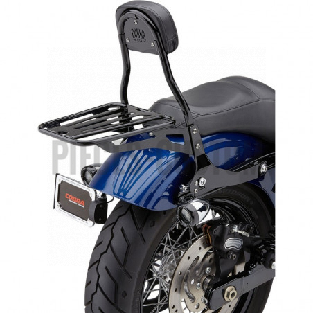 Sissy-Bar-détachable-avec-porte-bagage