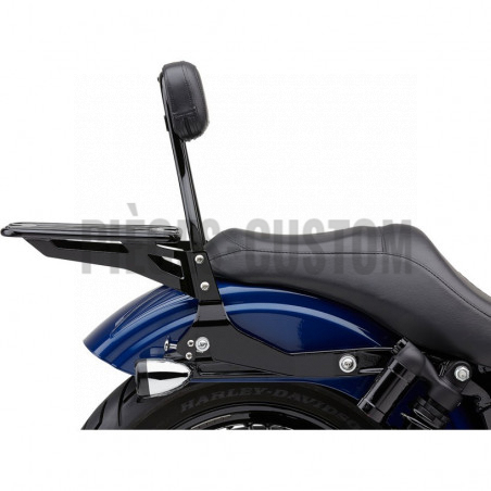Sissy Bar détachable avec porte-bagage Noir FXD et FXDWG de 2006 à 2017