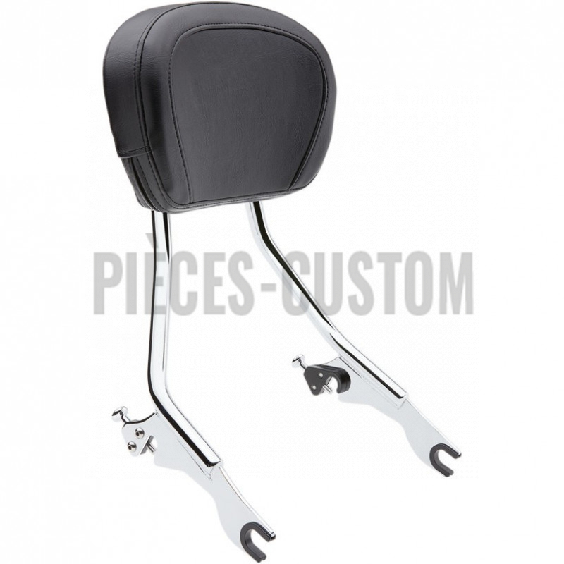 Sissy-Bar-détachable-avec-porte-bagage