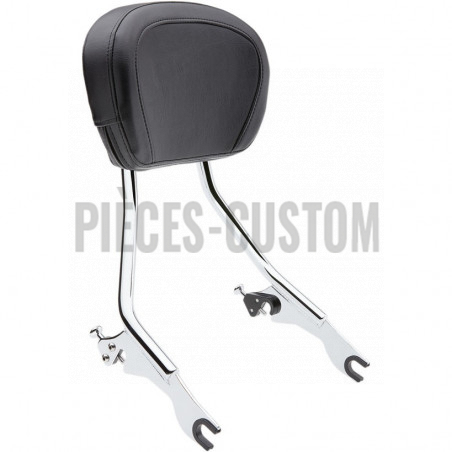 Sissy-Bar-détachable-avec-porte-bagage