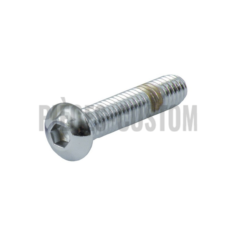 Vis-tête-bombée-Torx-1/4-20-longueur-1"
