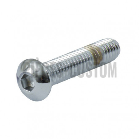 Vis-tête-bombée-Torx-1/4-20-longueur-1"