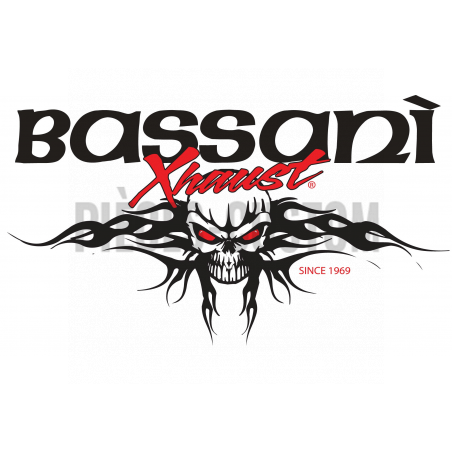 Echappement Bassani Road Rage II 2 en 1 Chromé pour Sport Glide 2018