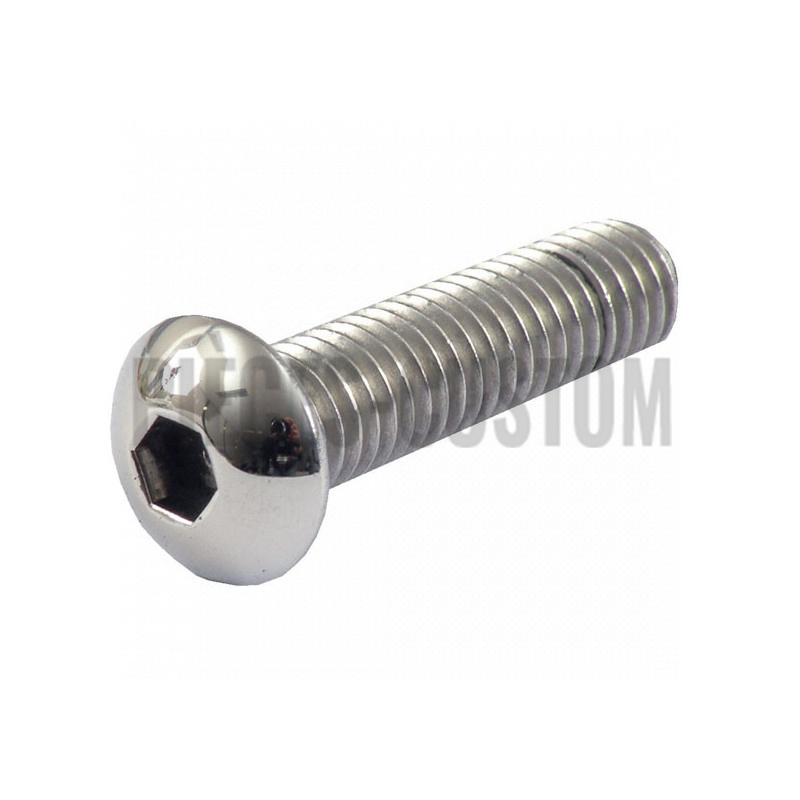 Vis-tête-bombée-Inox-1/2-13-longueur-2"