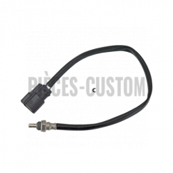 Sonde-Lambda-pour-XL-Sportster