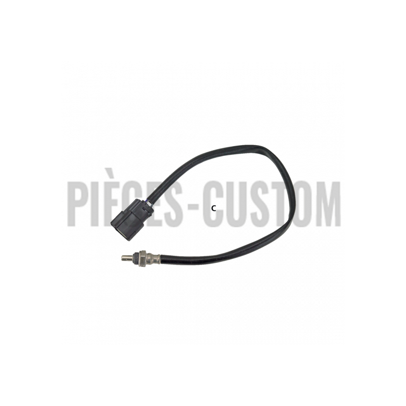 Sonde-Lambda-pour-XL-Sportster
