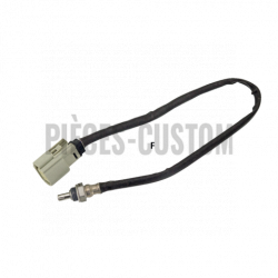 Sonde-Lambda