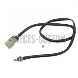 Sonde-Lambda