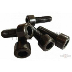Set-vis-noires-té-de-fourche-V-Rod