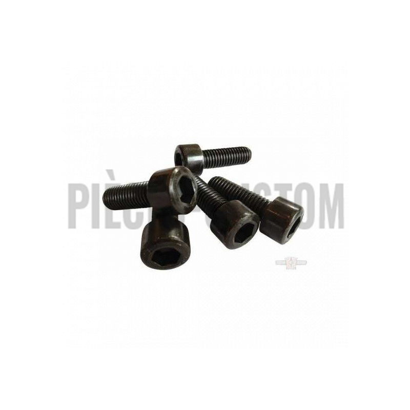 Set-vis-noires-té-de-fourche-V-Rod
