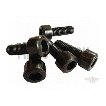 Set-vis-noires-té-de-fourche-V-Rod
