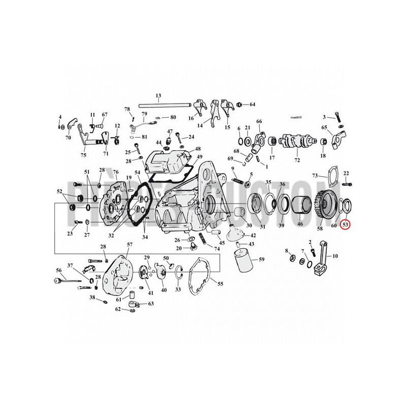 Ecrou de pignon de transmission pour Big Twin et Sportster de 1936 à 1992