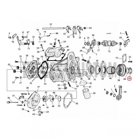 Ecrou de pignon de transmission pour Big Twin et Sportster de 1936 à 1992