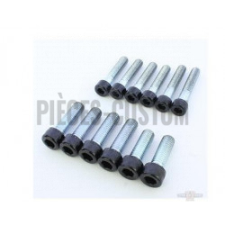 Kit-visserie-complet-noir-etrier-frein-V-Rod