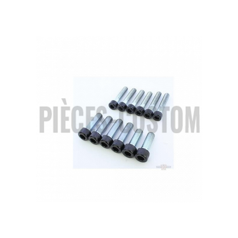 Kit-visserie-complet-noir-etrier-frein-V-Rod