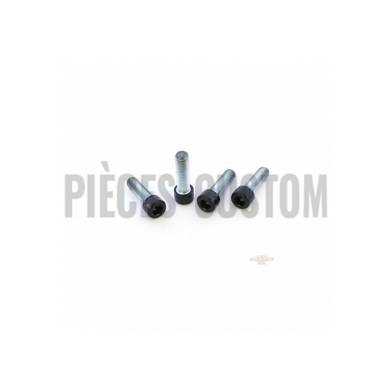 Kit-visserie-noir-etrier-frein-avant-V-Rod