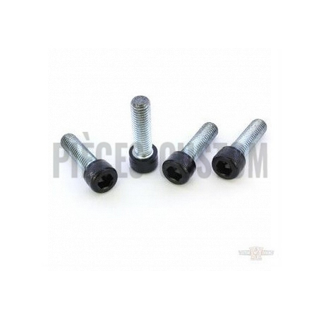 Kit-visserie-noir-etrier-frein-avant-V-Rod