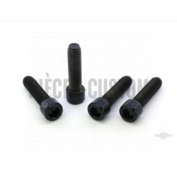 Kit-visserie-noir-brillant-support-de-fourche-avant-Breakout