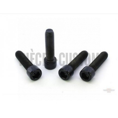 Kit-visserie-noir-brillant-support-de-fourche-avant-Breakout